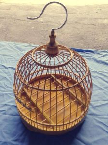 lồng chim giá mềm 
