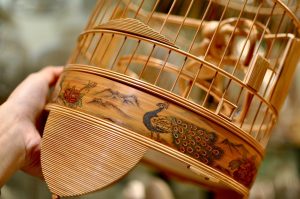 phụ kiện chim cảnh khuyên 