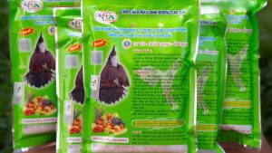 Cám Chim Chào Mào Không Nóng