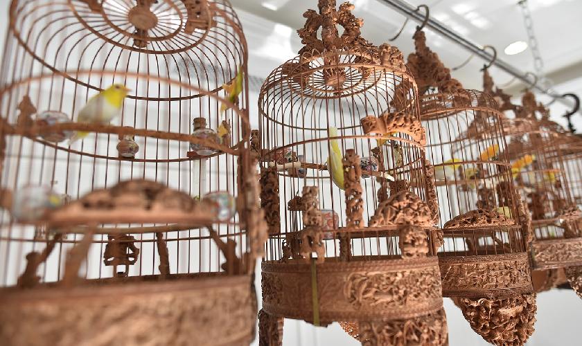 Phụ Kiện Chăm Sóc Chim Cảnh